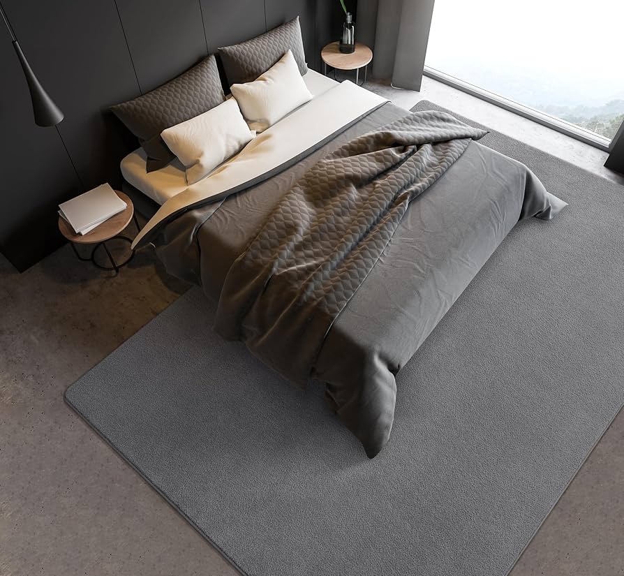 Amazon.com: B BENRON Soft Rugs for Living Room 5x7 Grey